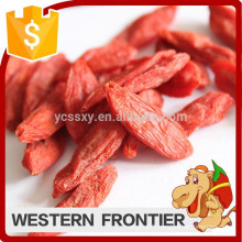 Dry and organic goji berry extract/fresh Chinese wolfberry